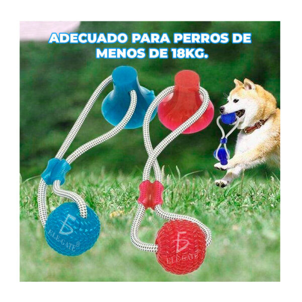 Juguete mordedera multifuncional con cuerda y ventosa para mascota
